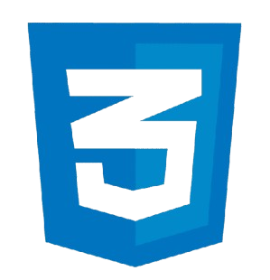 CSS Logo
